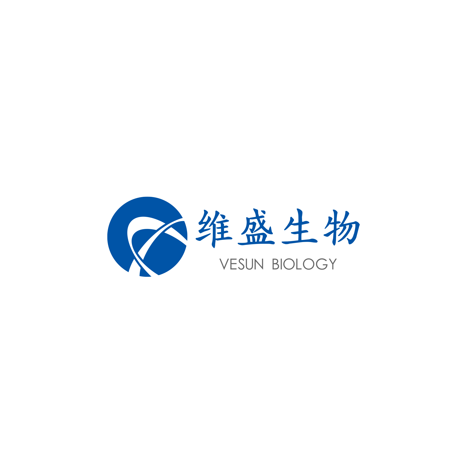 VESUN GROUP